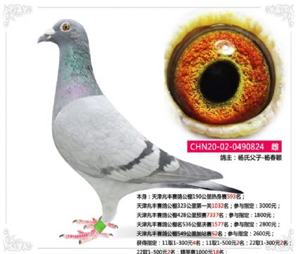 ����׷����빫��549�����վ��52��   ��	