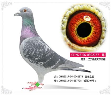 �����������¹���	--����֮�� 187   ��	