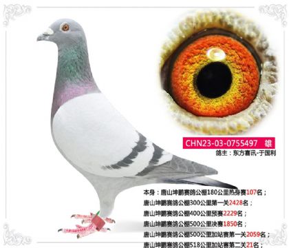 ��ɽ�������빫��518�����վ���ڶ���21��  ��	