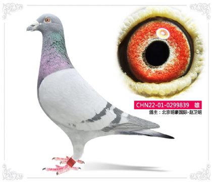 ������������-������839   ��	