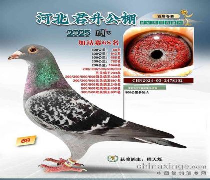 �ӱ��������빫��800�����վ��68��   ��	