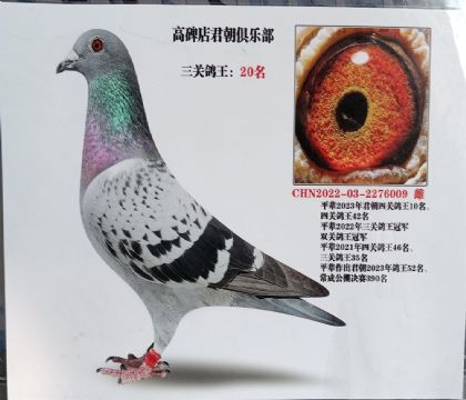 �ӱ������߱������������ֲ������ۺϸ���20��   ��	