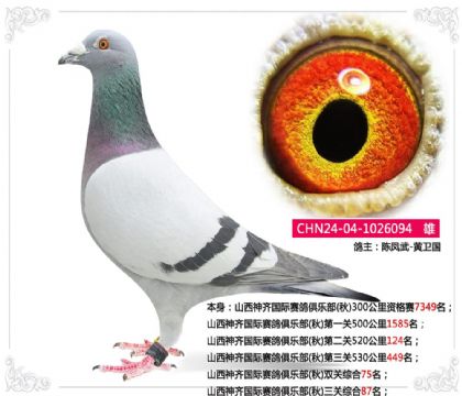 ɽ���������������ֲ�(��)�����ۺ�87��   ��	