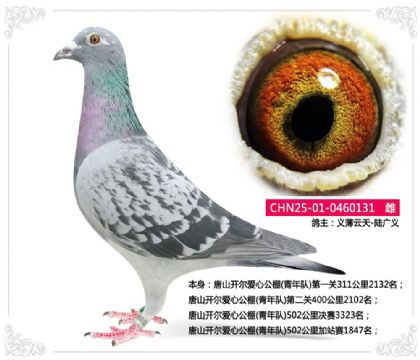 ��ɽ�������Ĺ���(�����)502�����վ��1847��   ��