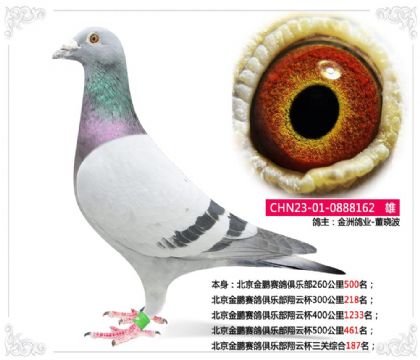 ���޸�ҵ-������-��������������ֲ����Ʊ������ۺ�187��