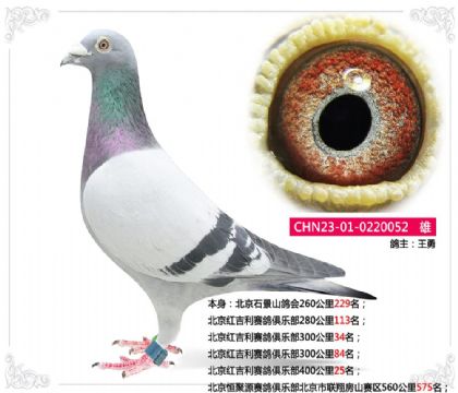 �����켪��������ֲ�400����25��   ��	