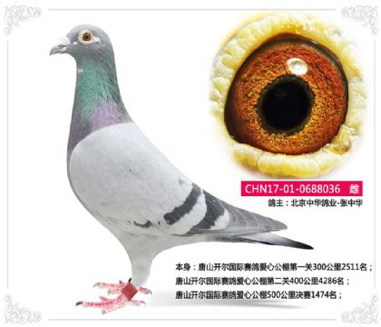 ��ɽ�����������밮�Ĺ���500�������1474��   ��	