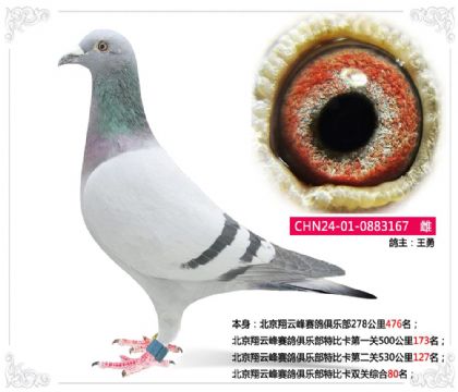 �������Ʒ�������ֲ��رȿ�˫���ۺ�80��   ��	