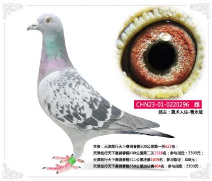 �������������봺��550�����վ��404��   ��	