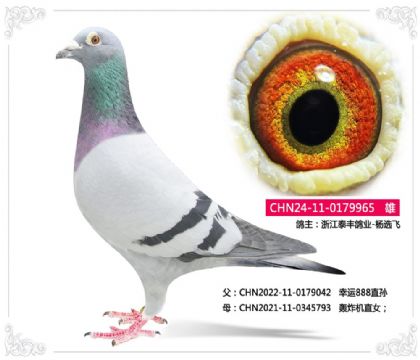 �㽭̩���ҵ-��ѡ��965   ��		