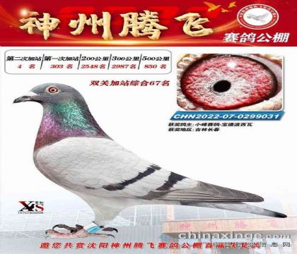 ���������ڷ����빫���վ��˫���ۺ�67��   ��	