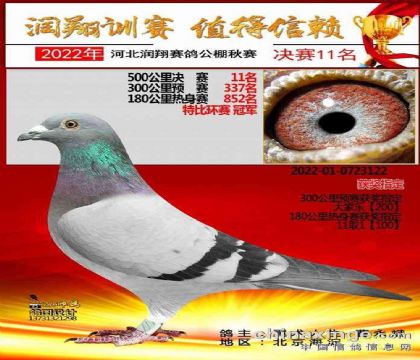 �ӱ��������빫��500�������11��   ��	