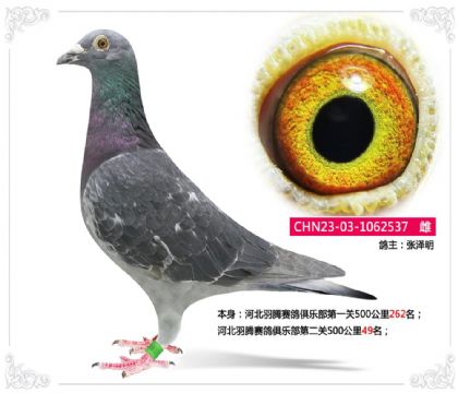 �ӱ�����������ֲ��ڶ���500����49��   ��	