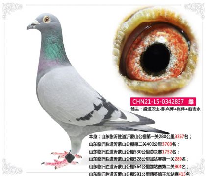 ɽ������ʤ������ɽ����528�����վ����һ��289��   ��