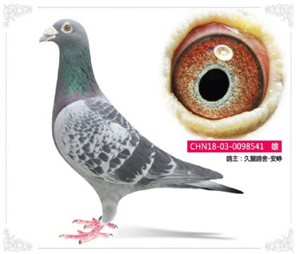 ���˸���-���541   ��