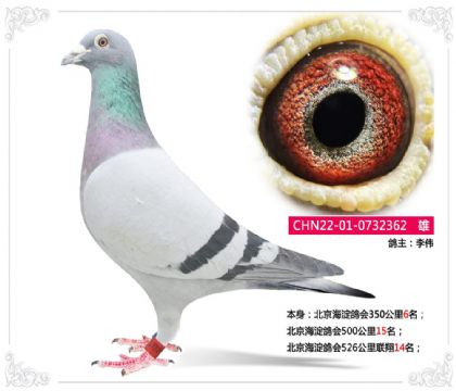 �����������526��������14��   ��	