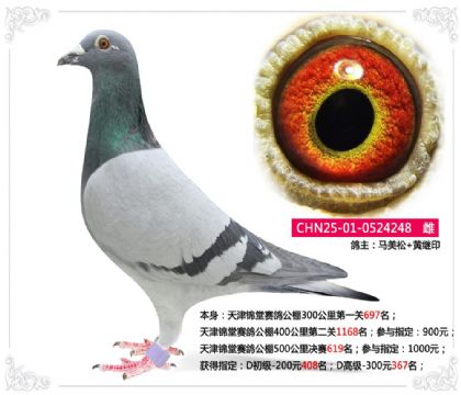 ���������빫��500�������619��   ��