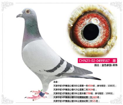 ����VIP���빫��506�����վ�ڶ���521��   ��