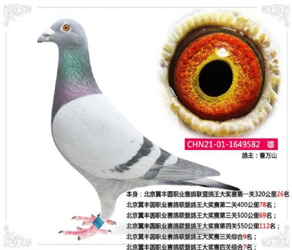 ��������Բְҵ�������˸��������Ĺ��ۺ�7��  ��	