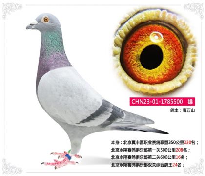 ��������������ֲ�˫���ۺϸ���24��  ��	