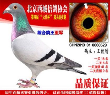 �������Ǹ��Ԫ����˫���������ۺϸ����Ǿ�   ��	