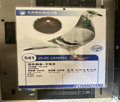 ����Ƭ��뷢��