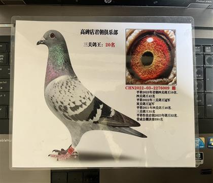 ����Ƭ��뷢��