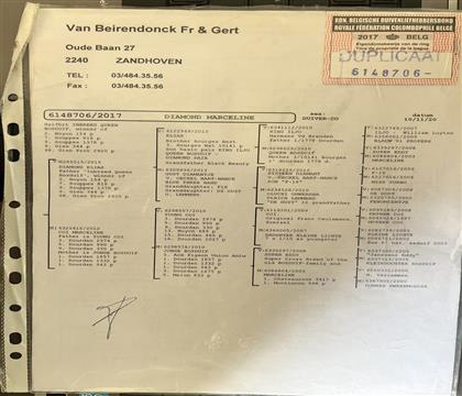 Ѫͳ����뷢��