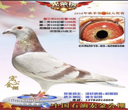 �й�ʯ�ͺ�������10��