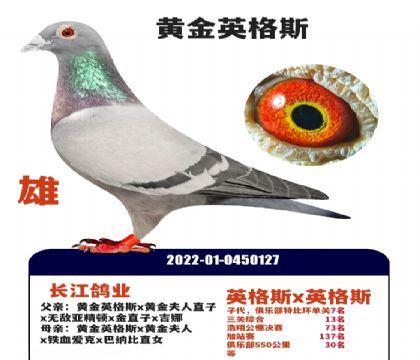 ����������ҵ