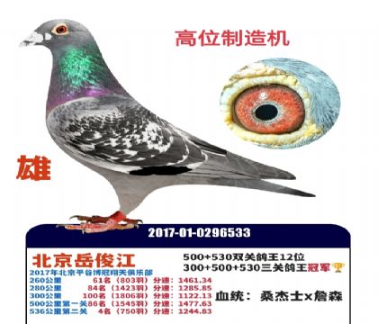 ���ظ����ھ�??