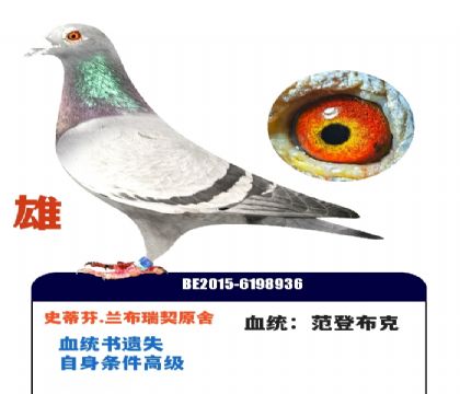 ����ʱʷ�ٷ�.��������ԭ��