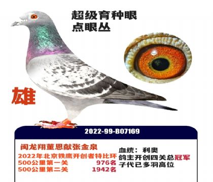 �������۴ԣ������趭�����Ž�Ȫ