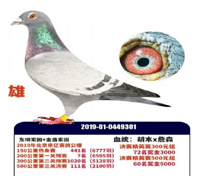 �Ĺظ���13λ