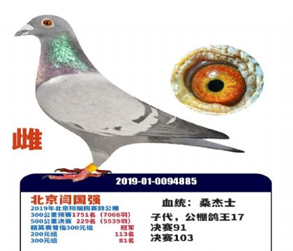 �������ĸ��