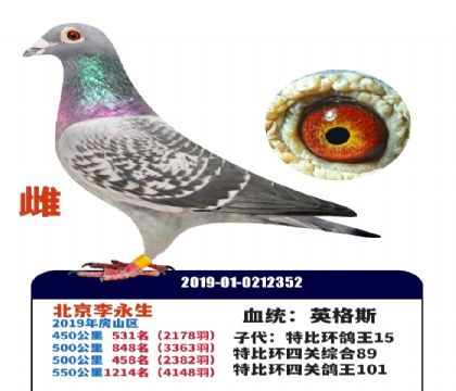 ��������������Ӣ��˹