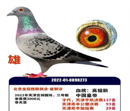 �߸����й��ʵ�