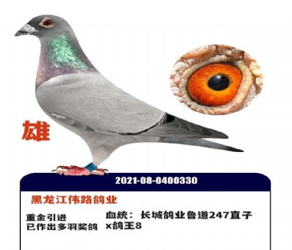 ������ΰ·��ҵ