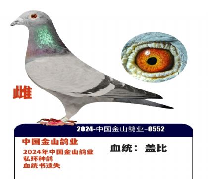 �й����ս�ɽ��ҵ