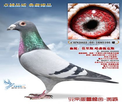 Ī��˹.��ɭ����˹-105