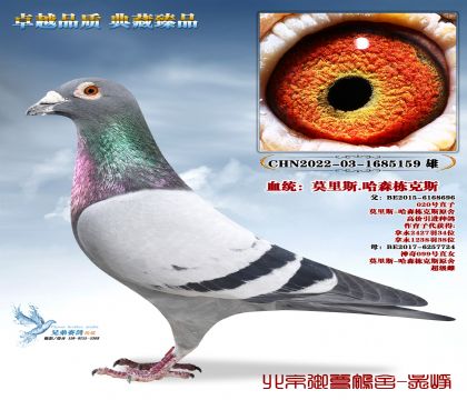 Ī��˹.��ɭ����˹-159