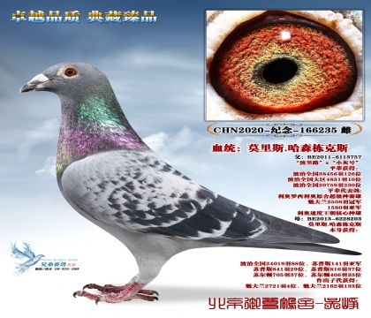 Ī��˹.��ɭ����˹-235