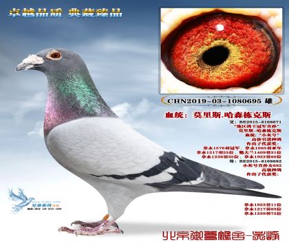 Ī��˹.��ɭ����˹-695