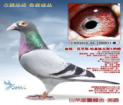 Ī��˹.��ɭ����˹-811