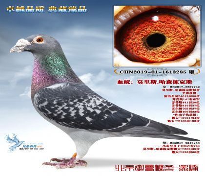 Ī��˹.��ɭ����˹-3285