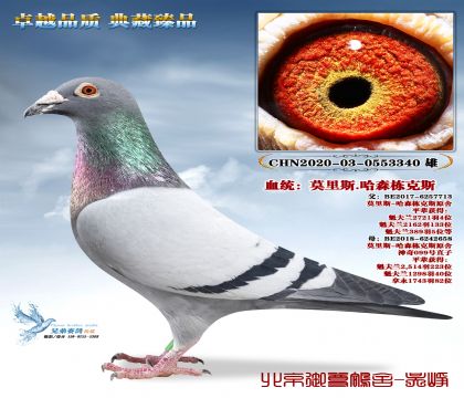 Ī��˹.��ɭ����˹-3340