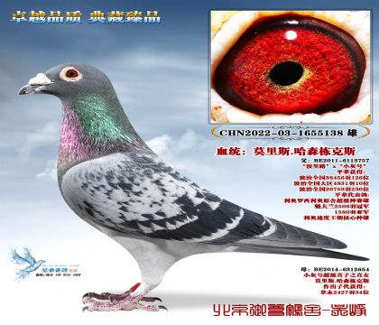 Ī��˹.��ɭ����˹-5138