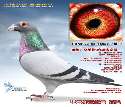 Ī��˹.��ɭ����˹-5190