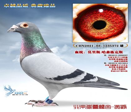 Ī��˹.��ɭ����˹-5372