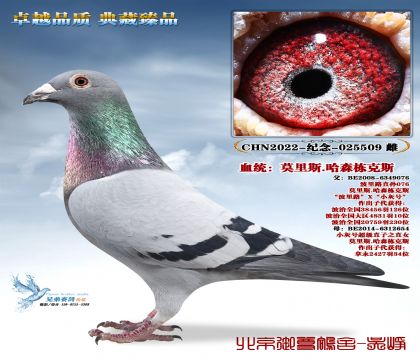 Ī��˹.��ɭ����˹-5509